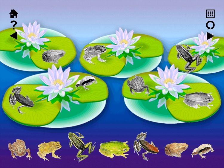 Matching 2 screenshot-4