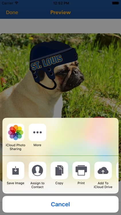 St. Louis Hockey Stickers & Emojis screenshot-4