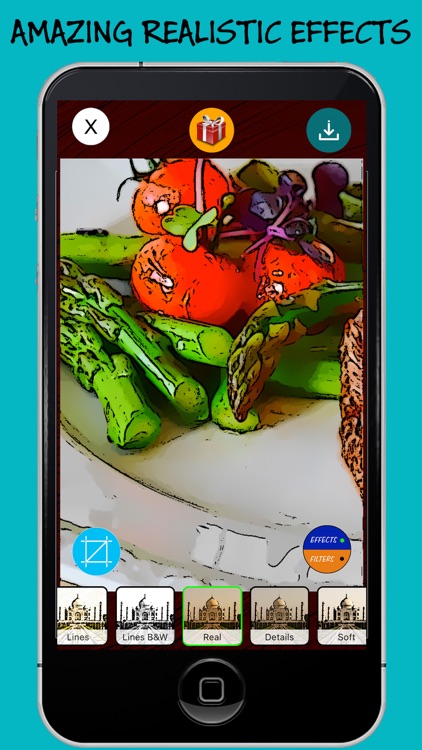 Cartoon Photo Editor - Photo to Cartoon Effects