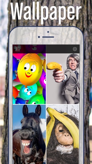 Funny LOL Wallpapers - LOL Pictures(圖2)-速報App