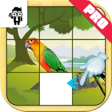 Activities of Bird Slide Puzzle Kids Game Pro
