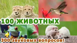 Game screenshot Животные для детей! mod apk