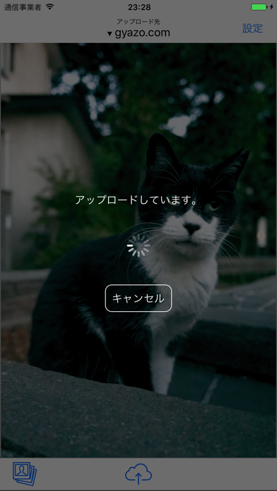 Lastpicのおすすめ画像2