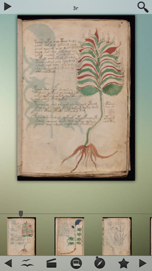 Voynich Manuscript! Screenshot