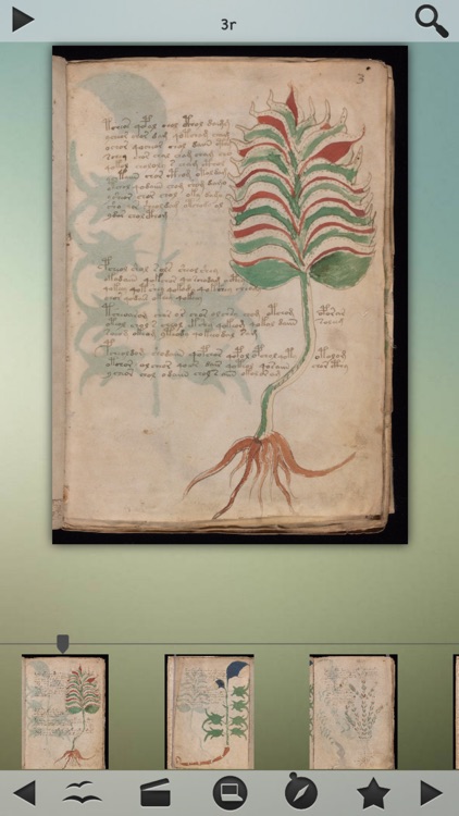 Voynich Manuscript! screenshot-3