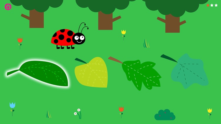 Amigos del Bosque Escondidas