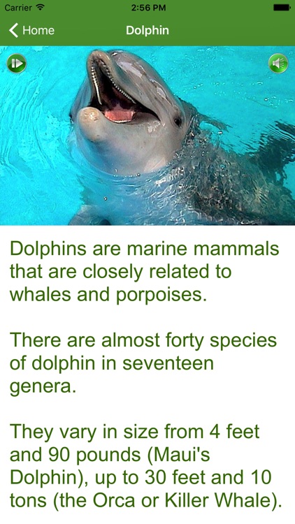 iLearnFacts - Mammals screenshot-3