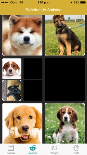 Look at PET(圖3)-速報App