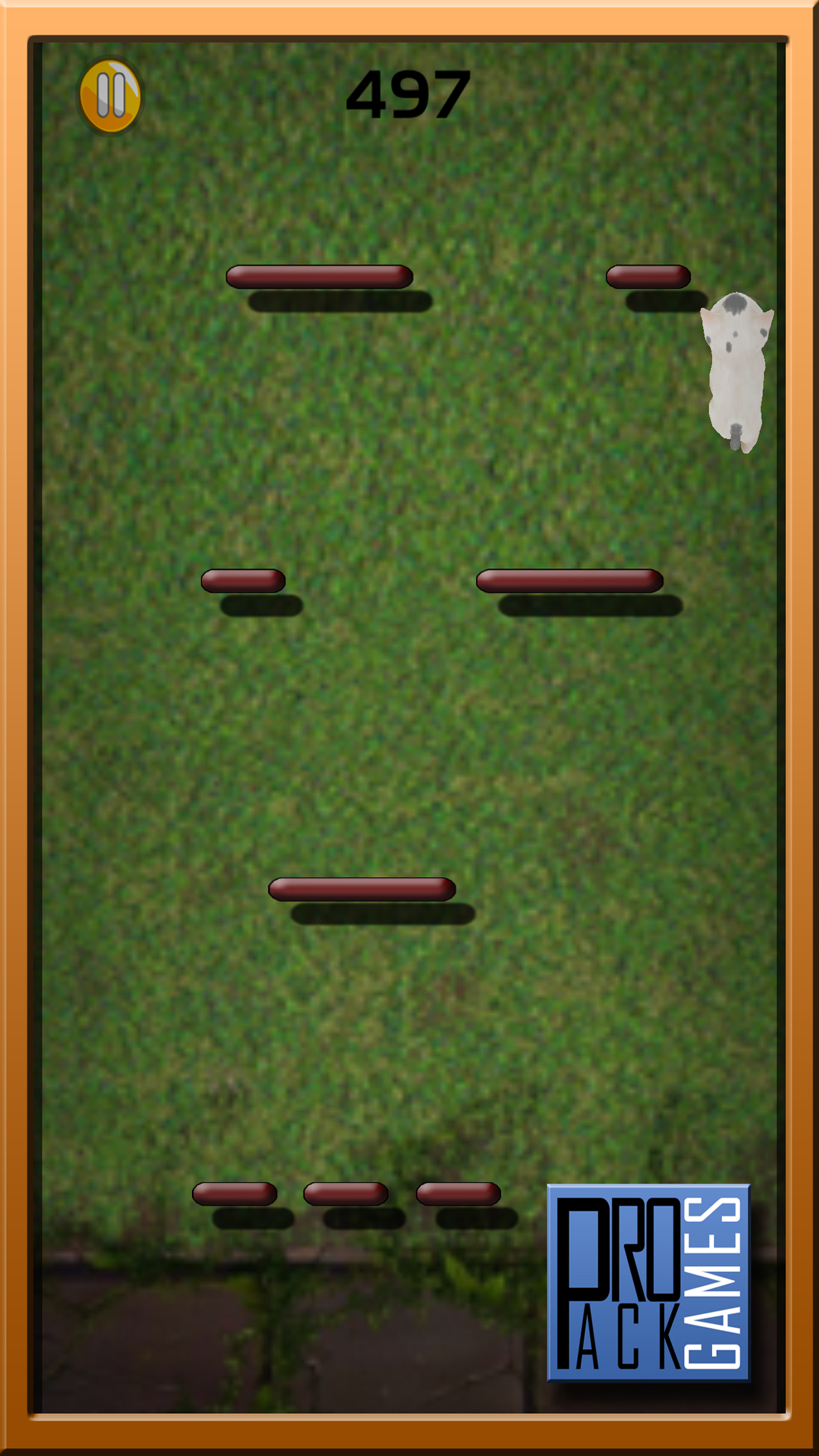 Cat Runaway on Valentine Day - Cute Kitten Games
