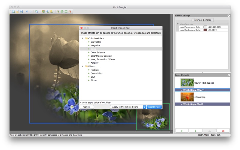Screenshot #4 for PhotoTangler