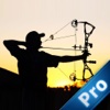 A Champion Archer PRO : Aim Well