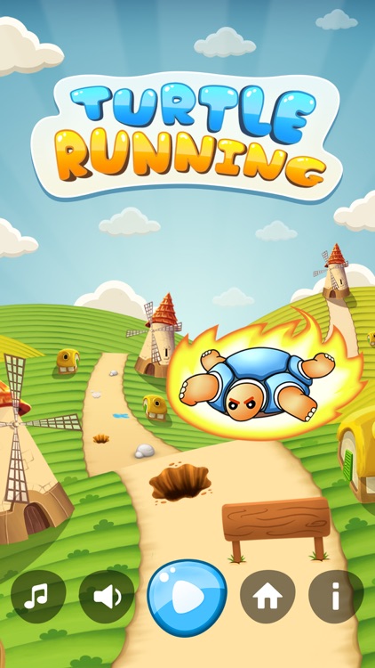 Turtle Running