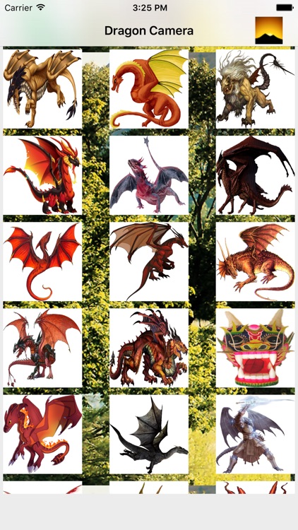 Dragon Camera screenshot-3