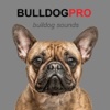Bulldog Sounds & Barks