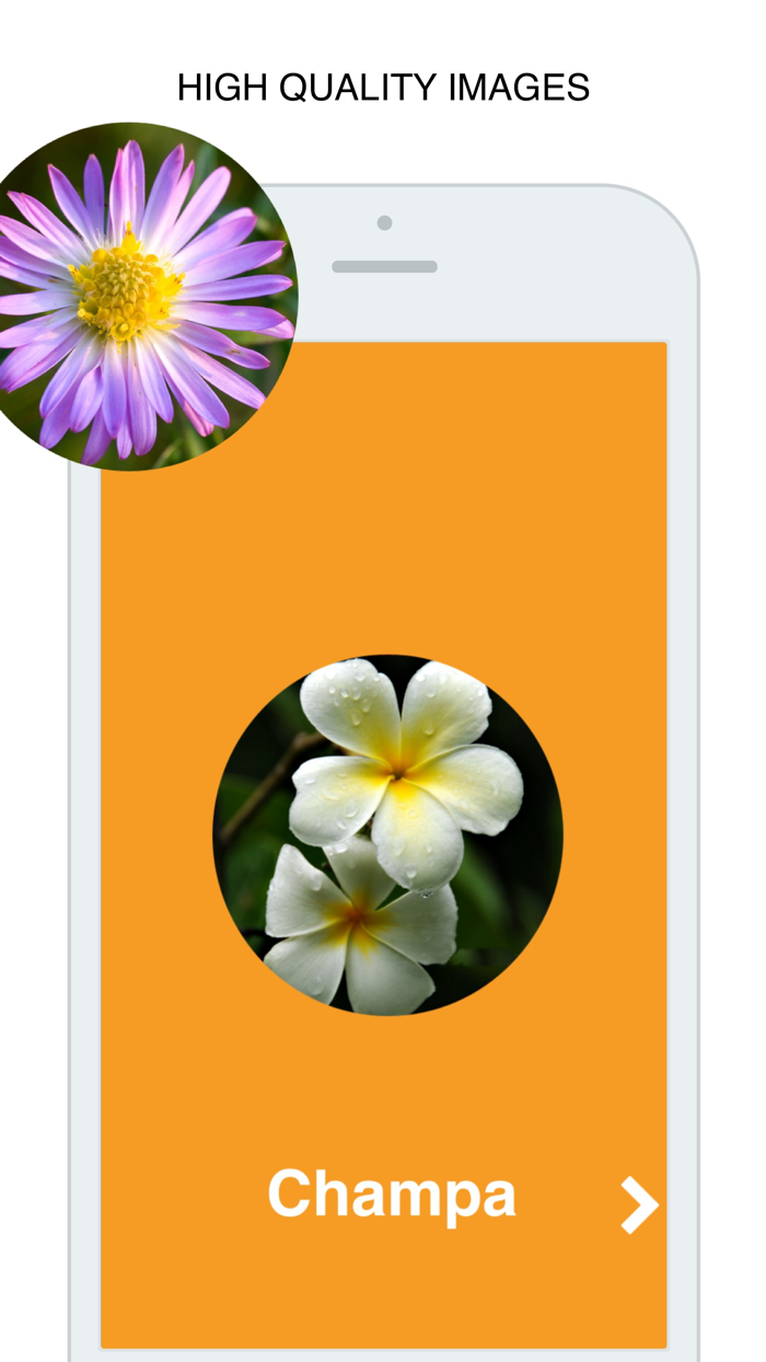 Flowers Flashcard for babies and preschool