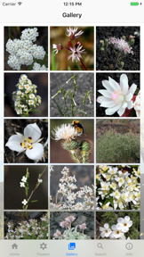 Craters of the Moon - Flowers screenshot