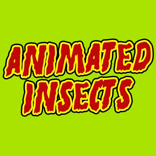 Animated Insects
