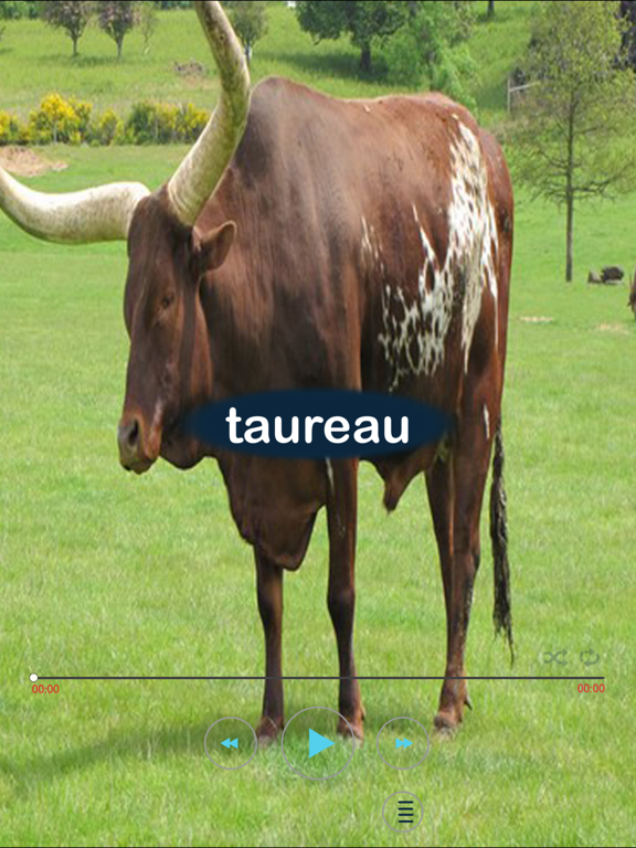 Screenshot #4 pour les animaux en français