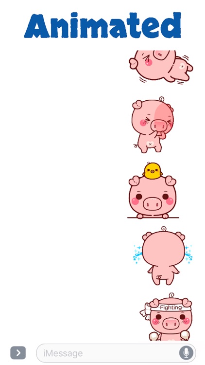 Pig Baby Aniamted