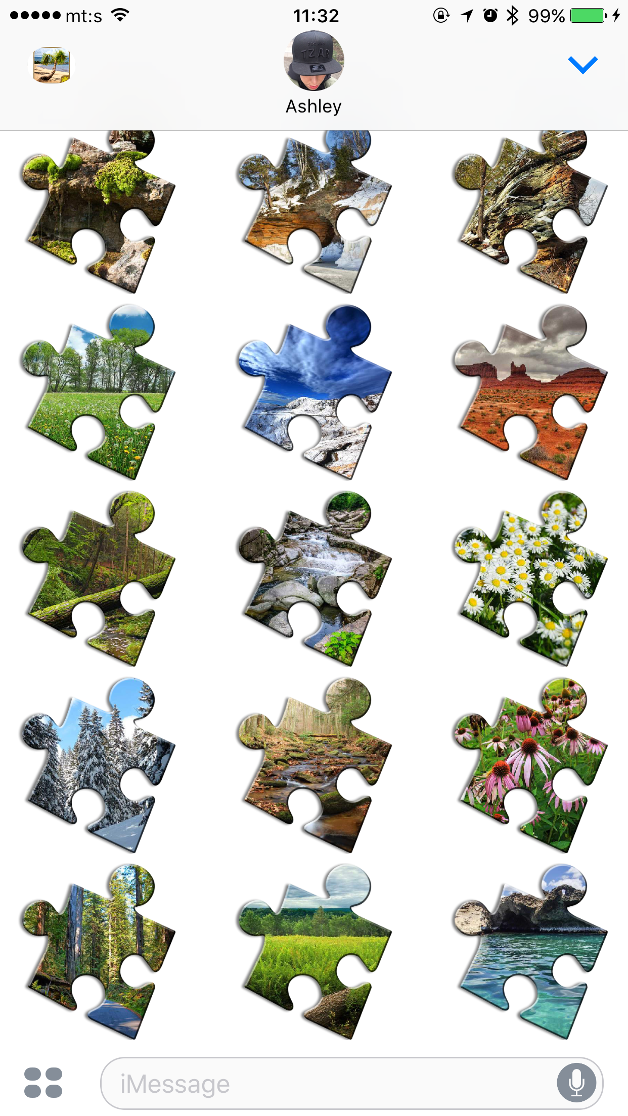 Nature Jigsaw Puzzles screenshot 12
