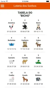 Loteria dos Sonhos screenshot #5 for iPhone