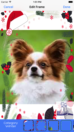 Veterinary Dentist(圖3)-速報App