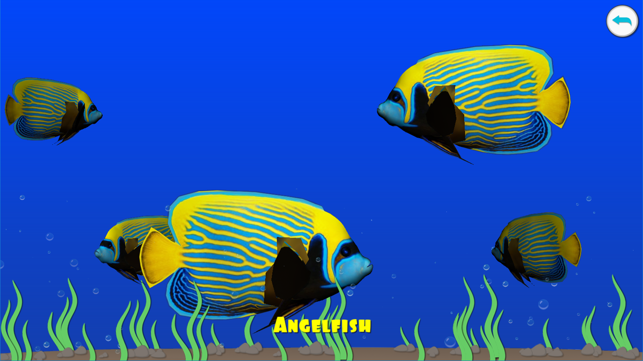 Dancing fishes. 3D Coloring App