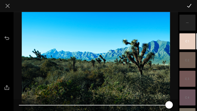 Lochkamera iPhone screenshot 4 - Photo & Video app