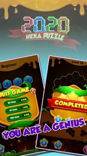 2020HexaPuzzle(圖4)-速報App