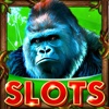 SLOTS GORILLA WILD!!! - Super Chief Africa Casino