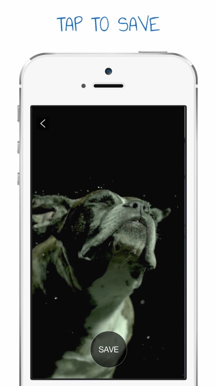 Live Pets - Dynamic Puppy Wallpapers Screen Lock screenshot-3