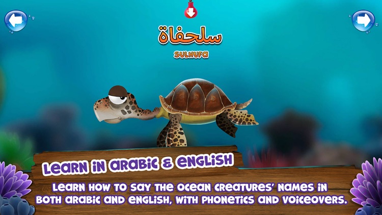 Appy Oceans - آبي أوشنز