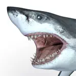 Talking Great White : My Pet Shark App Support