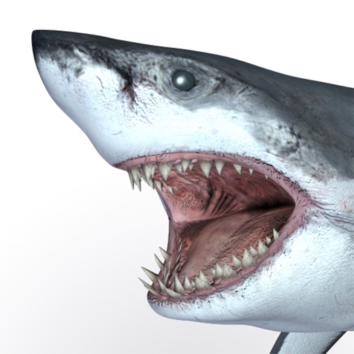 Talking Great White : My Pet Shark iOS App