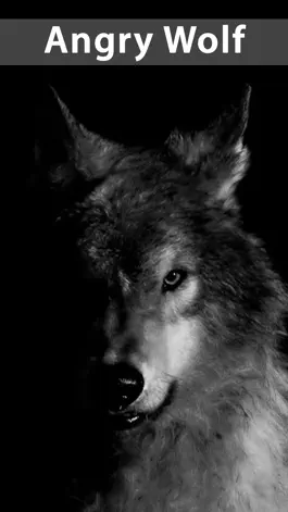Game screenshot Amazing Wolf Wallpapers apk