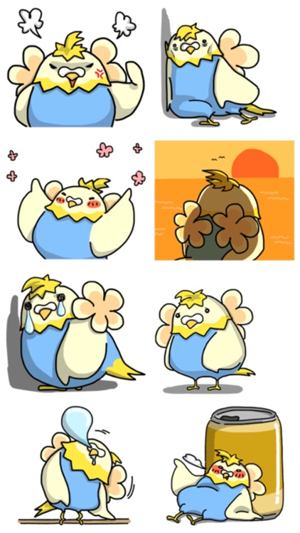 Funny Budgerigar