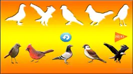 Game screenshot Fun Learning Birds Stencil for Kids mod apk