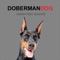 Doberman sounds dog app provides you Doberman barking sounds for Dobermans and dog sounds + Barking Sounds and dog barks at your fingertips