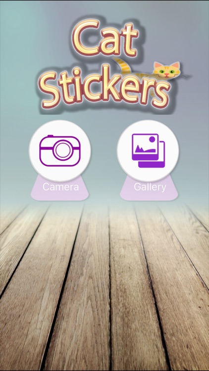 Cat Stickersz