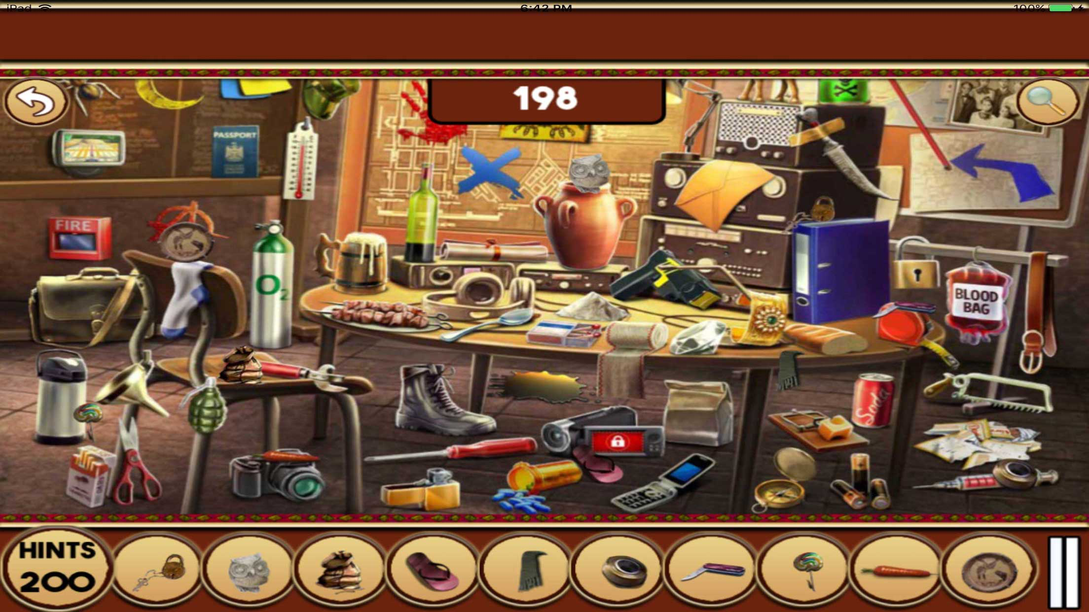 Hidden Objects:The New Home Owners screenshot 4