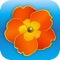Plant Finder with full details of over 13,300 UK plants