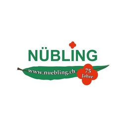 Nübling AG