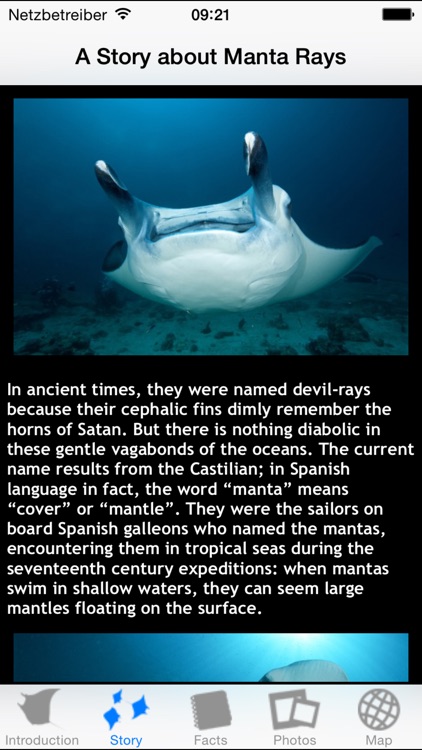 Manta Rays
