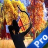 A Champion of Archery Pro - A Challenge Shooter