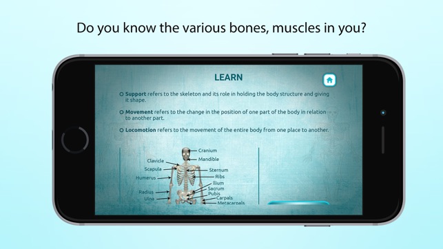 Support, Movement and Locomotion(圖2)-速報App
