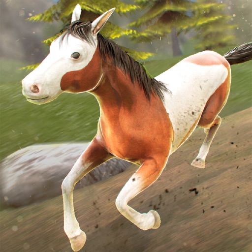 My Riding Wild Horse: The Jumping Adventure iOS App