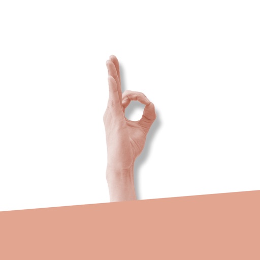 Say it with Hands icon