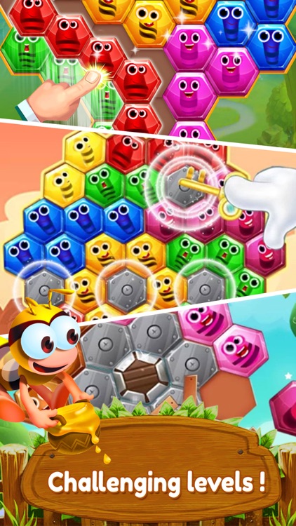 Bee Hex Block 2 screenshot-3