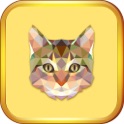 Kitten Cat Coloring Book for Kids Game Preschool icon