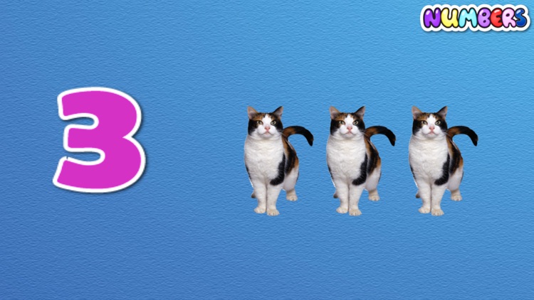 Counting for Kids screenshot-3